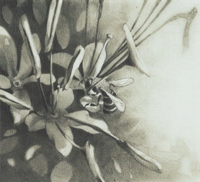 The Man with Bees in His Beard ~ The Art of Brian Dempsey