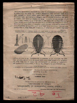 Item #00500356 The Bedbug (United States Department of Agriculture, Circular No. 47, Revised...