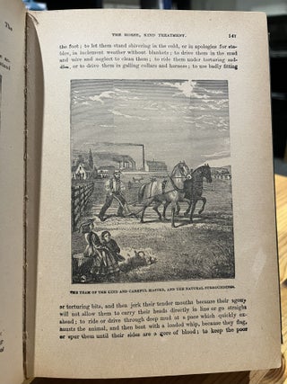 Manning's Horse Book