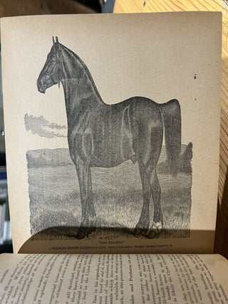 Manning's Horse Book