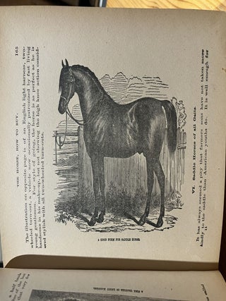 Manning's Horse Book