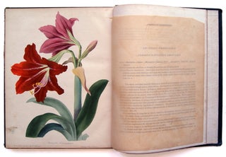 The Floral Magazine and Botanical Repository [Volume I]