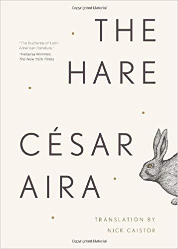Item #005503871 The Hare (Ndp). César Aira.