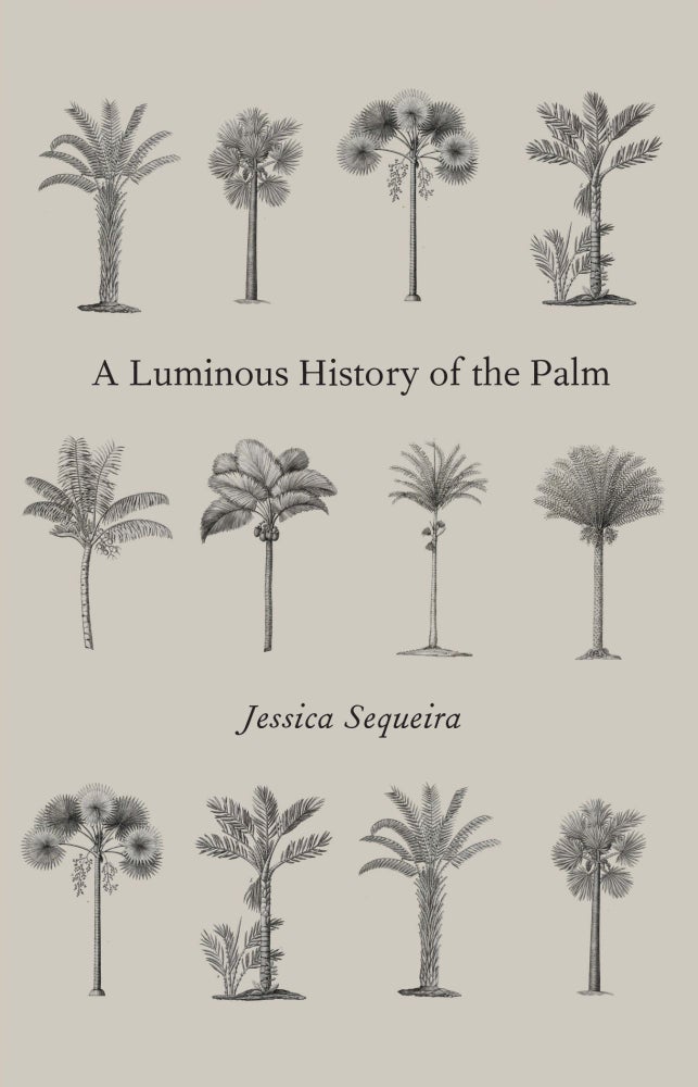 Item #600045 A Luminous History of the Palm. Jessica Sequeira.