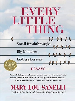 Item #600393 Every Little Thing: Small Breakthroughs, Big Mistakes, Endless Lessons. Mary Lou...
