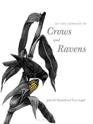Item #600887 In the Company of Crows and Ravens. John M. Marzluff, Tony, Angell