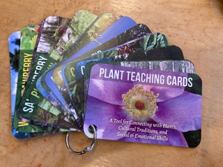 Item #601963 Plant Teachings Cards. Elise Krohn, GRuB, Northwest Indian Treatment Center