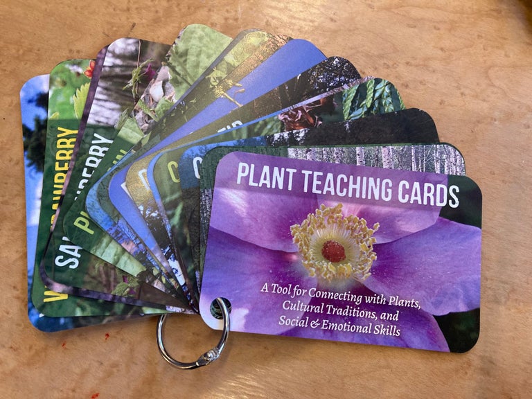 Item #601963 Plant Teachings Cards. Elise Krohn, GRuB, Northwest Indian Treatment Center.