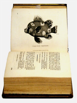 General Zoology; Or Systematic Natural History: Pisces Vols. IV(1-2) & V(1-2)