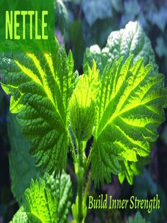 Plant Teachings BOOK AND CARD Set Pacific Northwest Edition (2021)