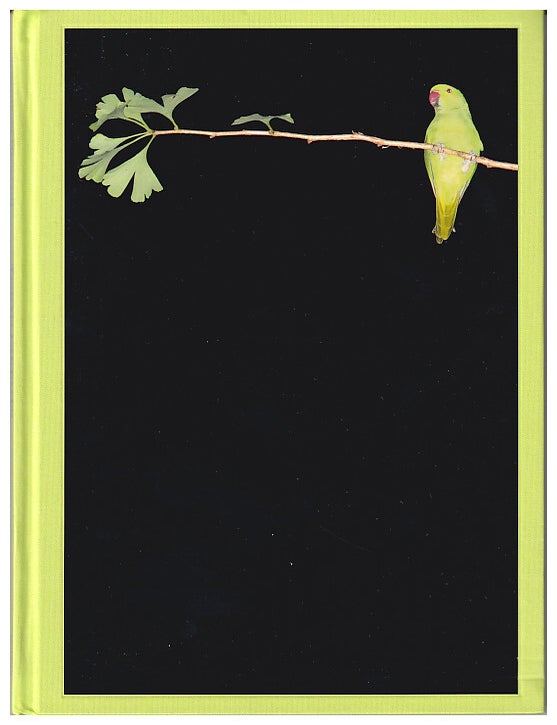 Item #631430 Yoshinori Mizutani: Tokyo Parrots. Yoshinori Mizutani, IMA.