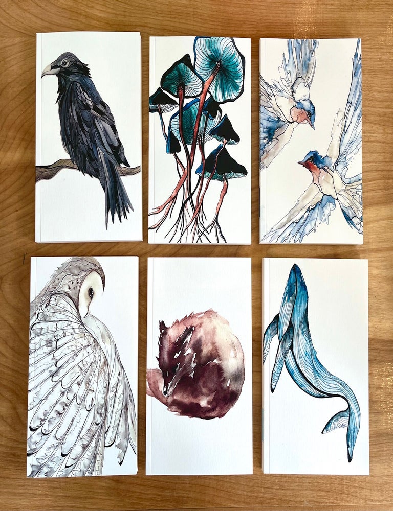 Item #633197 'Morgan Padgett' Mixed Paper Notebook, 5' x 7', Ruled Notebook. Morgan Padgett.