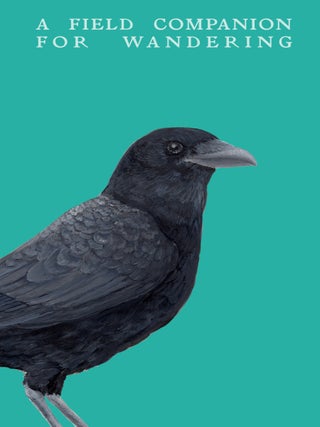 A Field Companion For Wandering: A book for being lost on real and imagined borders