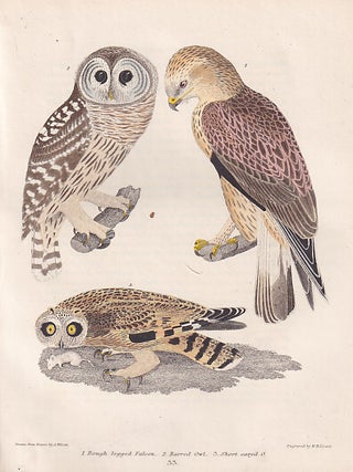 American Ornithology; Or, The Natural History of the Birds of the United States. Three Volumes