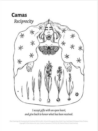 Plant Teachings Coloring Book