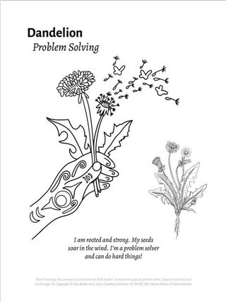 Plant Teachings Coloring Book