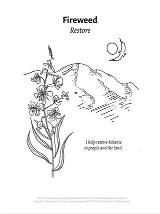 Plant Teachings Coloring Book