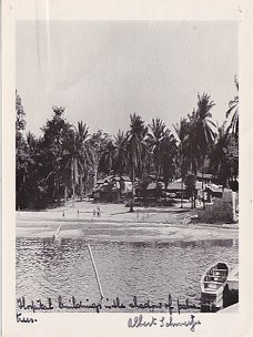 The Schweitzer Album: A Portrait in Words and Pictures