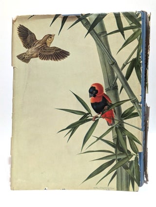 Love Life of the Birds